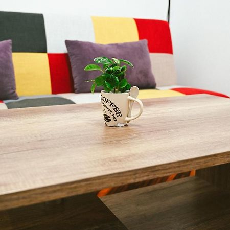 Cozy Apartment 布拉索夫 外观 照片