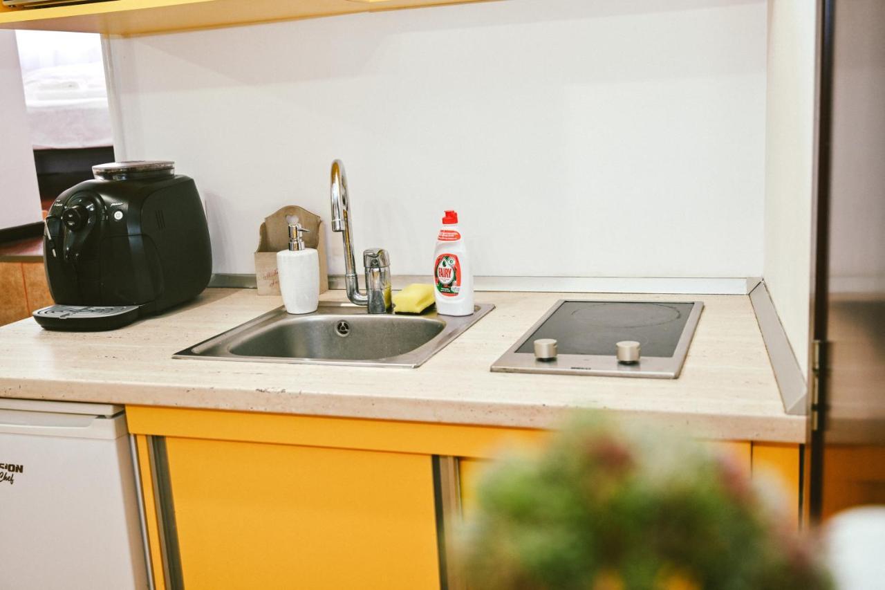 Cozy Apartment 布拉索夫 外观 照片