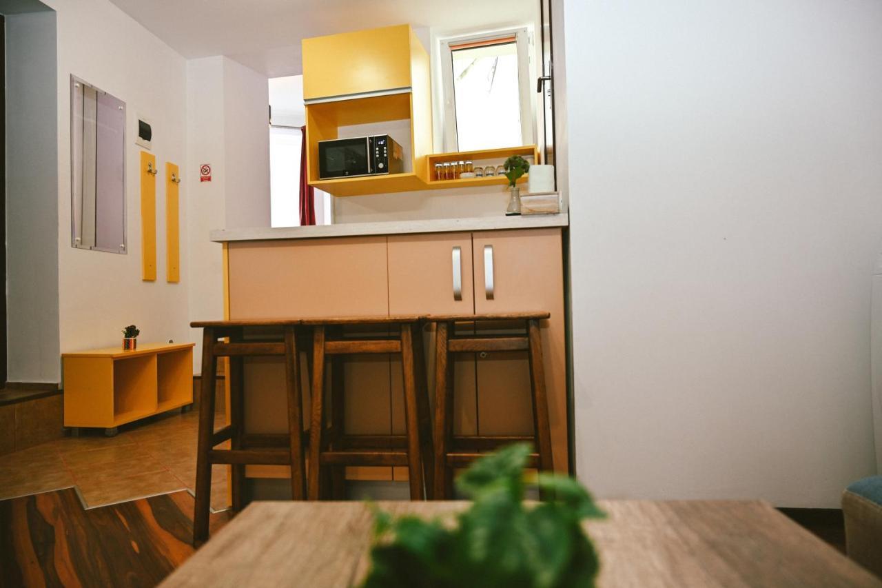 Cozy Apartment 布拉索夫 外观 照片