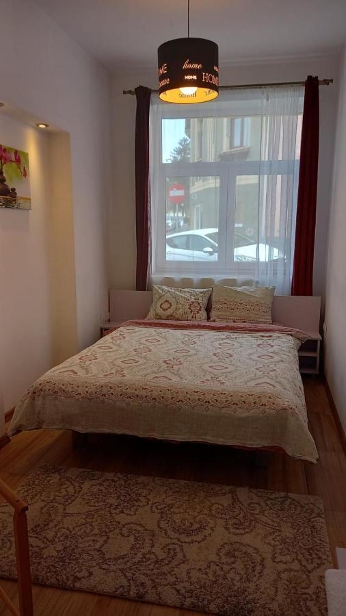 Cozy Apartment 布拉索夫 外观 照片