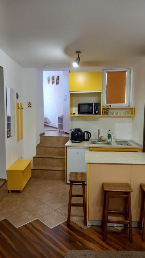 Cozy Apartment 布拉索夫 外观 照片